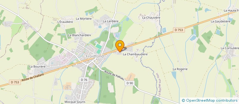 localisation de l'entreprise MONSIEUR NICOLAS RENAUDINEAU  FROIDFOND