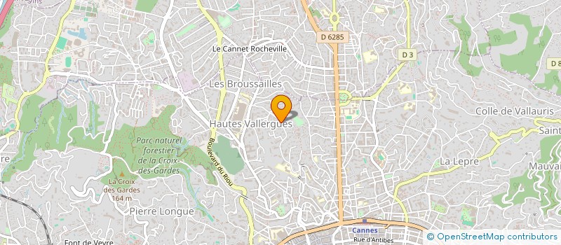 localisation de l'entreprise MONSIEUR NICOLAS REVAH  CANNES