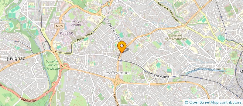 localisation de l'entreprise MONSIEUR NICOLAS REVELLI à MONTPELLIER