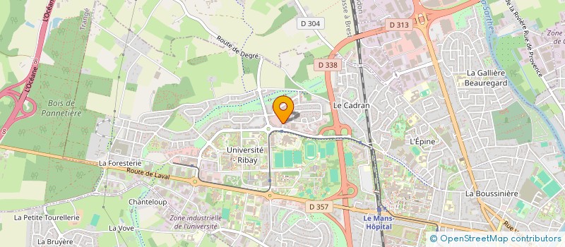 localisation de l'entreprise MONSIEUR NICOLAS RIBOU  LE MANS