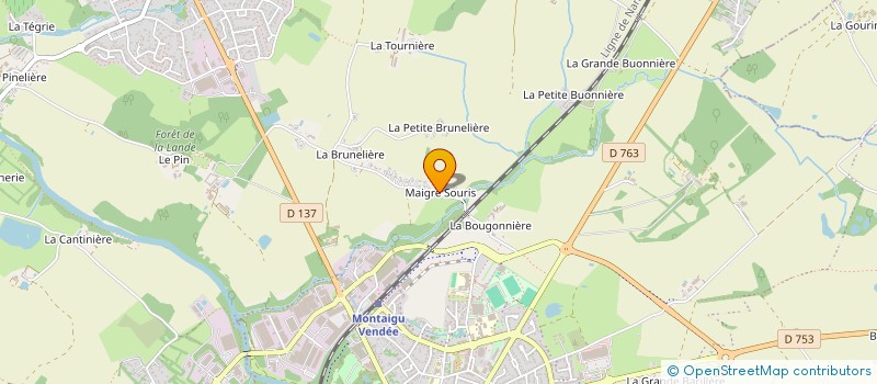 localisation de l'entreprise MONSIEUR NICOLAS RICHARD à MONTAIGU-VENDEE
