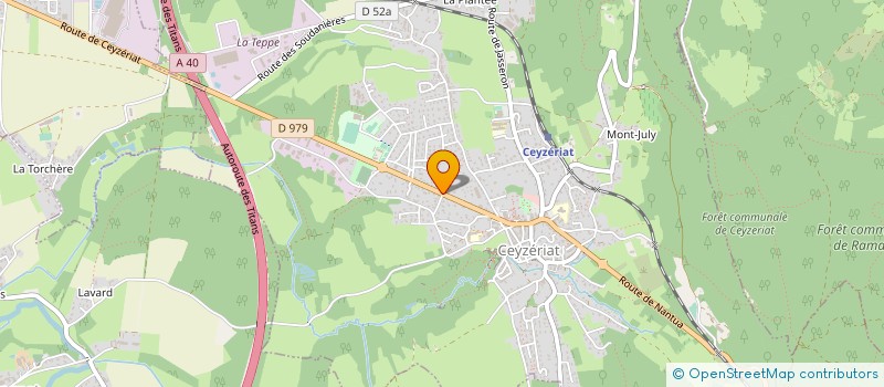 localisation de l'entreprise MONSIEUR NICOLAS RICHER à CEYZERIAT