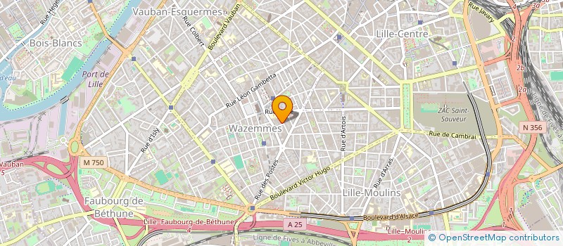 localisation de l'entreprise MONSIEUR NICOLAS RICHER à LILLE