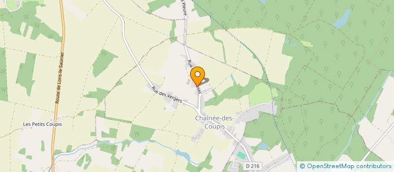 localisation de l'entreprise MONSIEUR NICOLAS RIGAUD  CHAINEE-DES-COUPIS