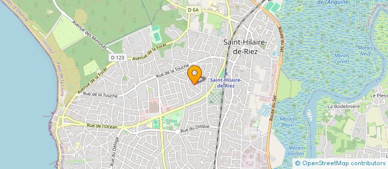 localisation de l'entreprise MONSIEUR NICOLAS RIVALLIN  SAINT-HILAIRE-DE-RIEZ