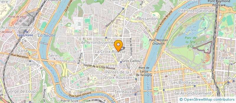 localisation de l'entreprise MONSIEUR NICOLAS ROBELIN  LYON