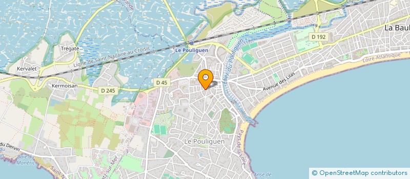 localisation de l'entreprise MONSIEUR NICOLAS ROBERT  LE POULIGUEN