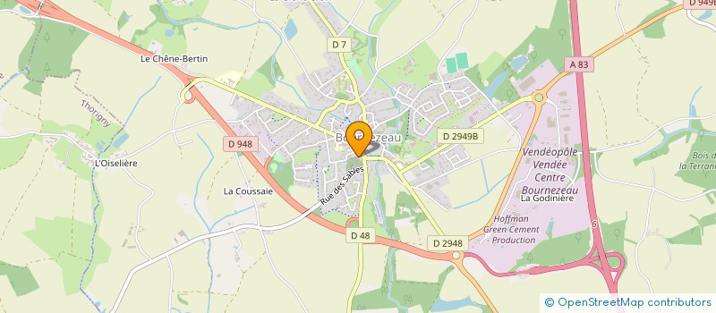 localisation de l'entreprise MONSIEUR NICOLAS ROCHETEAU à BOURNEZEAU