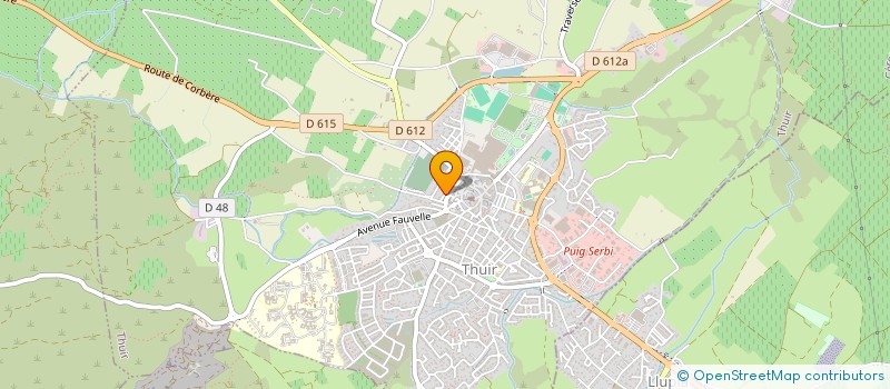 localisation de l'entreprise MONSIEUR NICOLAS RODRIGUES  THUIR