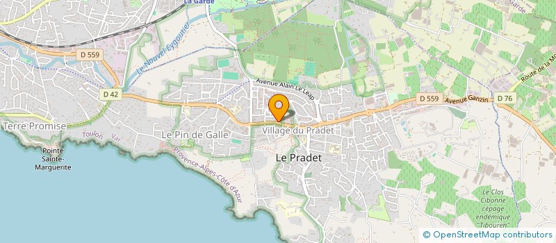 localisation de l'entreprise MONSIEUR NICOLAS RONTET à LE PRADET