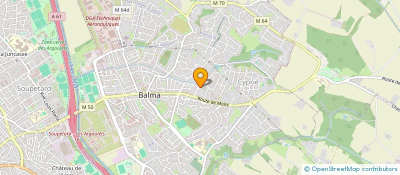 localisation de l'entreprise MONSIEUR NICOLAS RUINIER  TOULOUSE