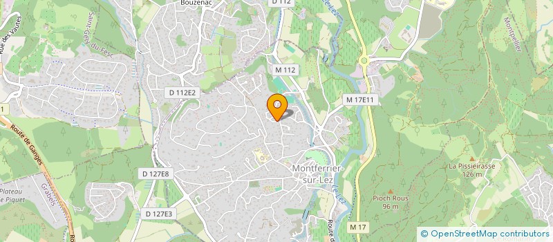 localisation de l'entreprise MONSIEUR NICOLAS SALEM  MONTFERRIER-SUR-LEZ