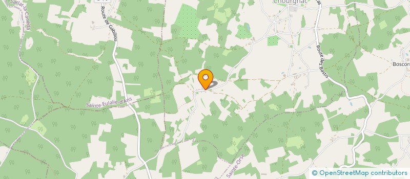 localisation de l'entreprise MONSIEUR NICOLAS SALOMON  CHOURGNAC