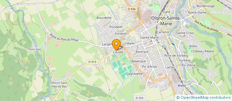 localisation de l'entreprise MONSIEUR NICOLAS SASSUS à PAU