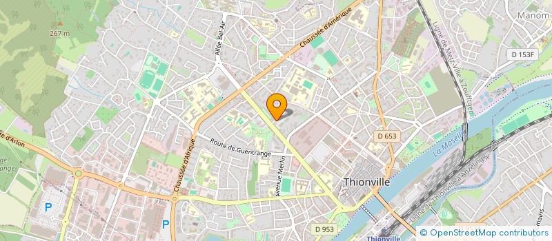 localisation de l'entreprise MONSIEUR NICOLAS SCHAETTEL  THIONVILLE