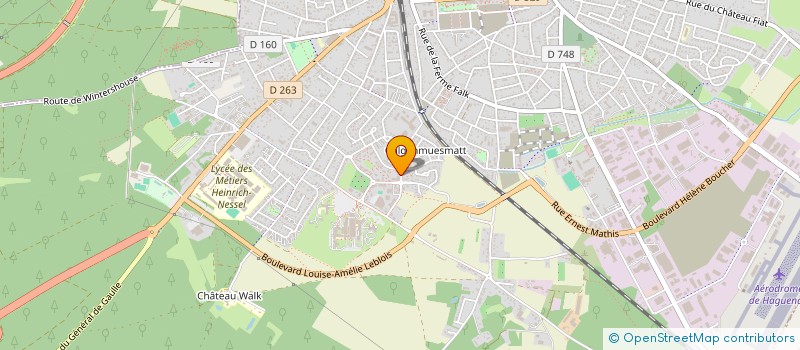 localisation de l'entreprise MONSIEUR NICOLAS SCHMITT  HAGUENAU