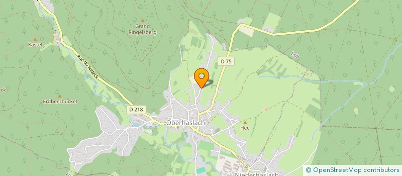 localisation de l'entreprise MONSIEUR NICOLAS SCHUMACHER  OBERHASLACH