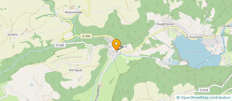 localisation de l'entreprise MONSIEUR NICOLAS SCRIBOT  CHAMBON-SUR-LAC