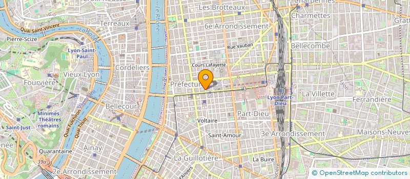 localisation de l'entreprise MONSIEUR NICOLAS SILVESTRE  LYON