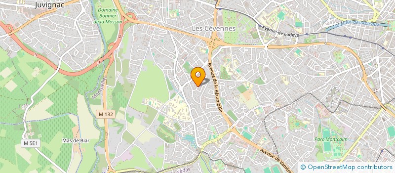 localisation de l'entreprise MONSIEUR NICOLAS SOMMERER  MONTPELLIER