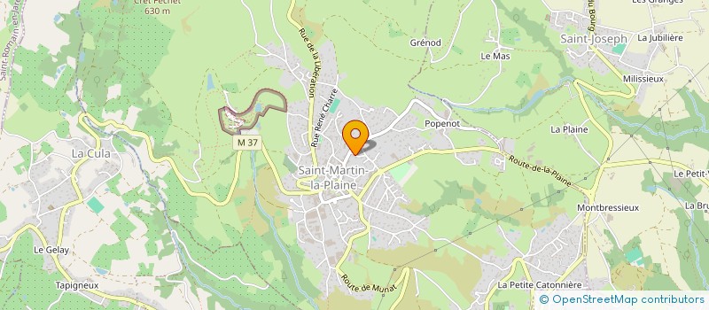 localisation de l'entreprise MONSIEUR NICOLAS STROZIK  SAINT-MARTIN-LA-PLAINE