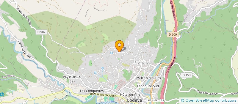 localisation de l'entreprise MONSIEUR NICOLAS TERZULLI  LODEVE