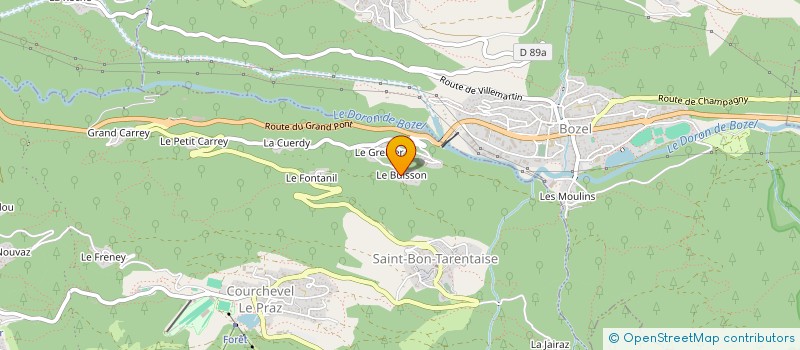 localisation de l'entreprise MONSIEUR NICOLAS THEZAN à COURCHEVEL