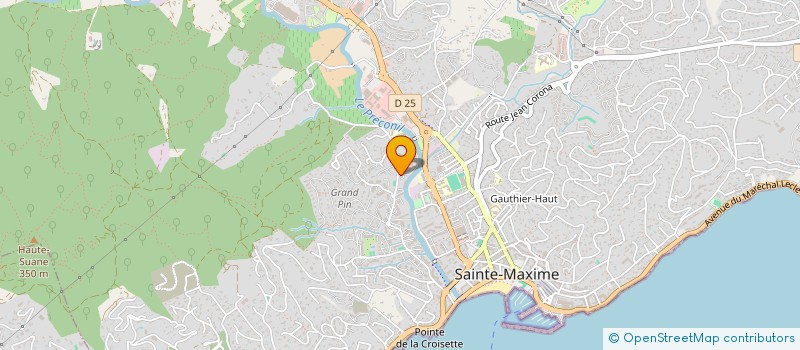 localisation de l'entreprise MONSIEUR NICOLAS TIRARD à SAINTE-MAXIME