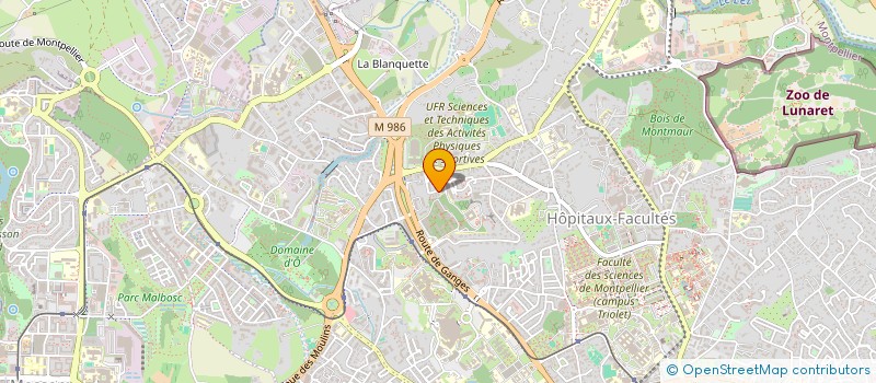 localisation de l'entreprise MONSIEUR NICOLAS TOCARRUNCHO à MONTPELLIER