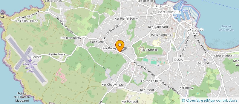 localisation de l'entreprise MONSIEUR NICOLAS TONNEL  L'ILE-D'YEU