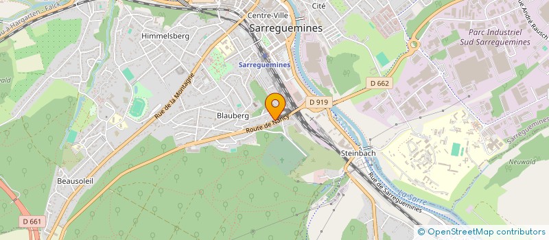 localisation de l'entreprise MONSIEUR NICOLAS TOUMI  SARREGUEMINES