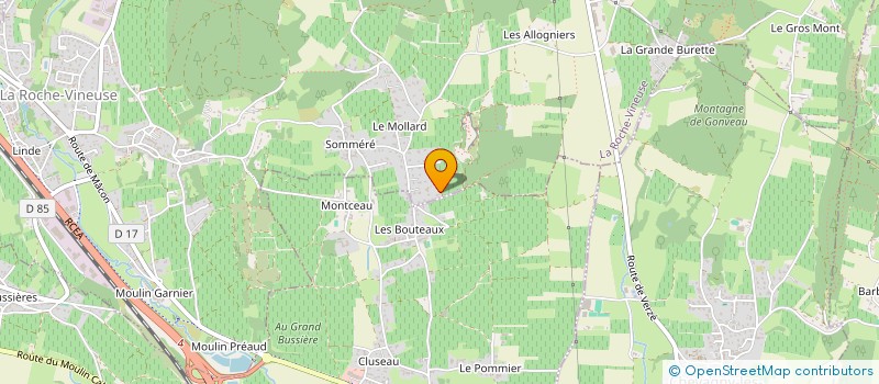 localisation de l'entreprise MONSIEUR NICOLAS TOUTANT à LA ROCHE-VINEUSE