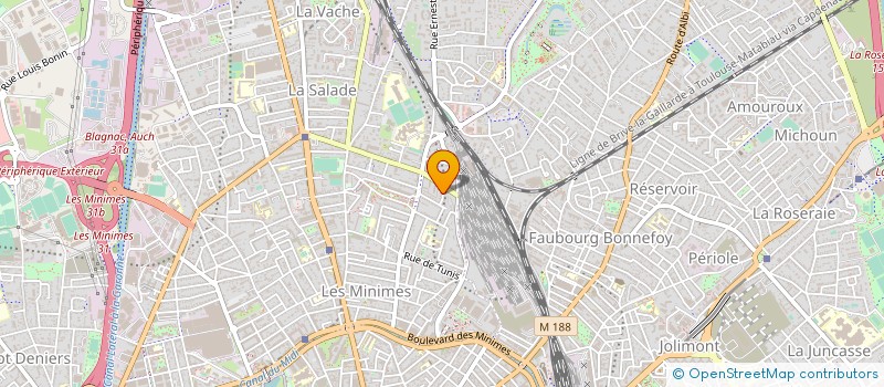 localisation de l'entreprise MONSIEUR NICOLAS TRANCHANT à TOULOUSE