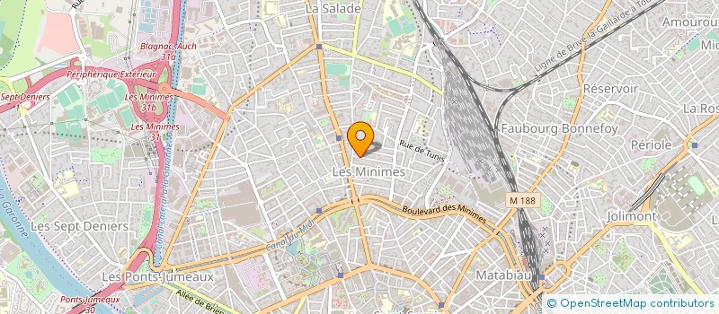 localisation de l'entreprise MONSIEUR NICOLAS TRECOURT à TOULOUSE