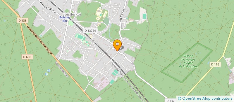 localisation de l'entreprise MONSIEUR NICOLAS TRIGO  BOIS-LE-ROI