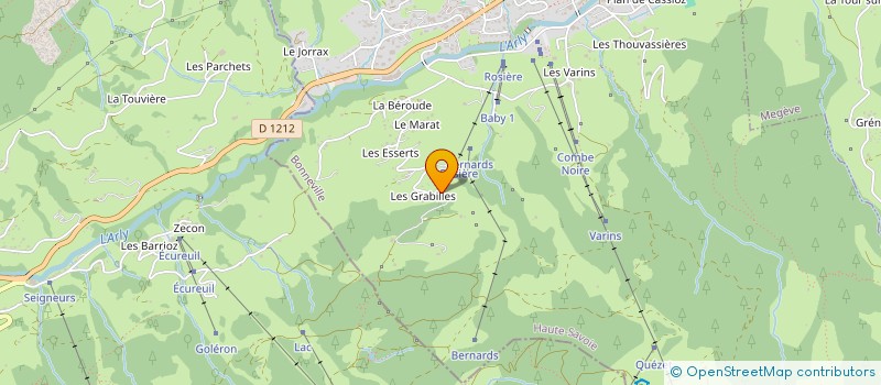 localisation de l'entreprise MONSIEUR NICOLAS TUAZ-TORCHON  PRAZ-SUR-ARLY