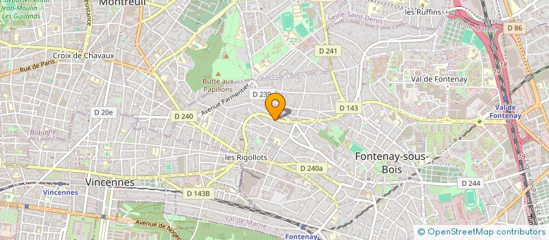 localisation de l'entreprise MONSIEUR NICOLAS VAIDIS à FONTENAY-SOUS-BOIS