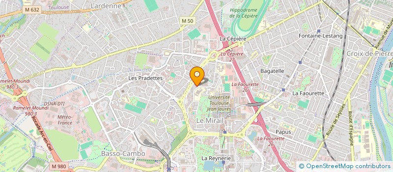 localisation de l'entreprise MONSIEUR NICOLAS VIDAL  TOULOUSE