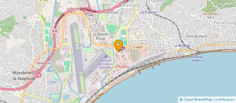 localisation de l'entreprise MONSIEUR NICOLAS VIEIRA TAVARES  CANNES