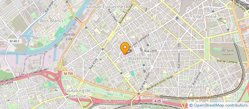 localisation de l'entreprise MONSIEUR NICOLAS WAYOLLE à LILLE