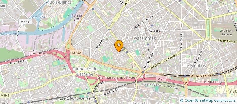 localisation de l'entreprise MONSIEUR NICOLAS WERQUIN à LILLE