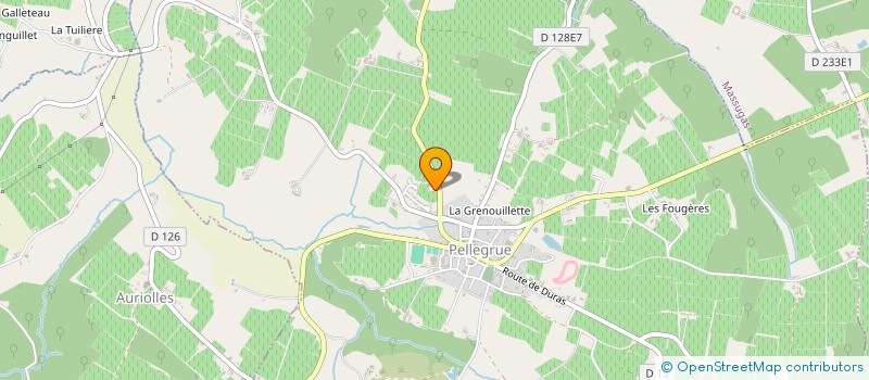 localisation de l'entreprise MONSIEUR NICOLE LAPORTE  PELLEGRUE