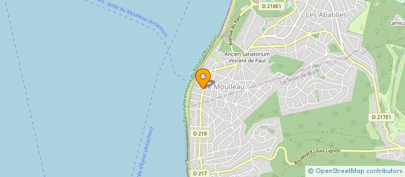 localisation de l'entreprise MONSIEUR NICOLE VASSELIN  ARCACHON