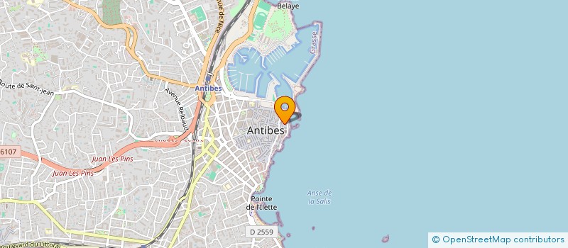 localisation de l'entreprise MONSIEUR NICOLO AGLIODO à ANTIBES