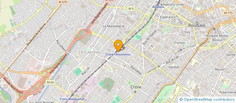localisation de l'entreprise MONSIEUR NICUSOR PAIU  CROIX