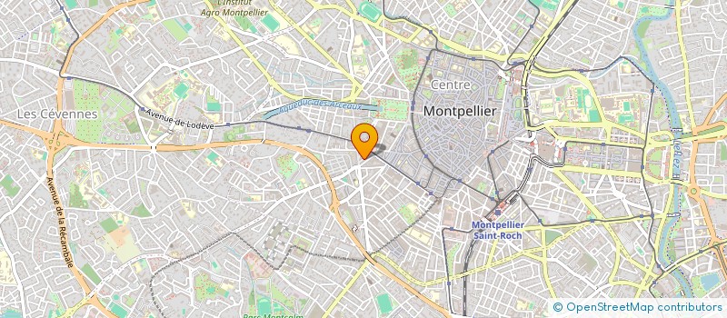 localisation de l'entreprise MONSIEUR NICUSOR SANDU à MONTPELLIER
