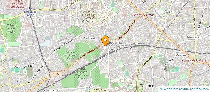 localisation de l'entreprise MONSIEUR NIDAL BOUASLA  TALENCE