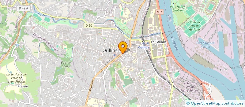 localisation de l'entreprise MONSIEUR NIELS BUISSON  OULLINS-PIERRE-BENITE