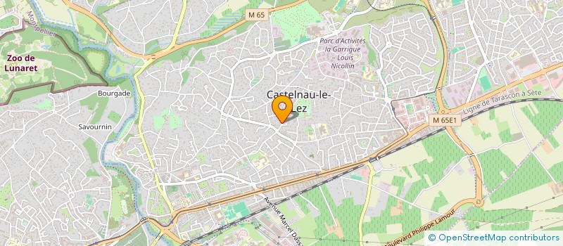 localisation de l'entreprise MONSIEUR NIELS TURELIER à CASTELNAU-LE-LEZ