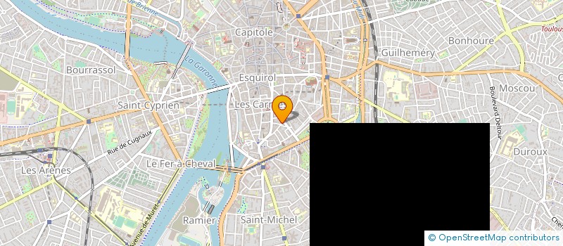 localisation de l'entreprise MONSIEUR NIGEL LANGRIDGE à TOULOUSE